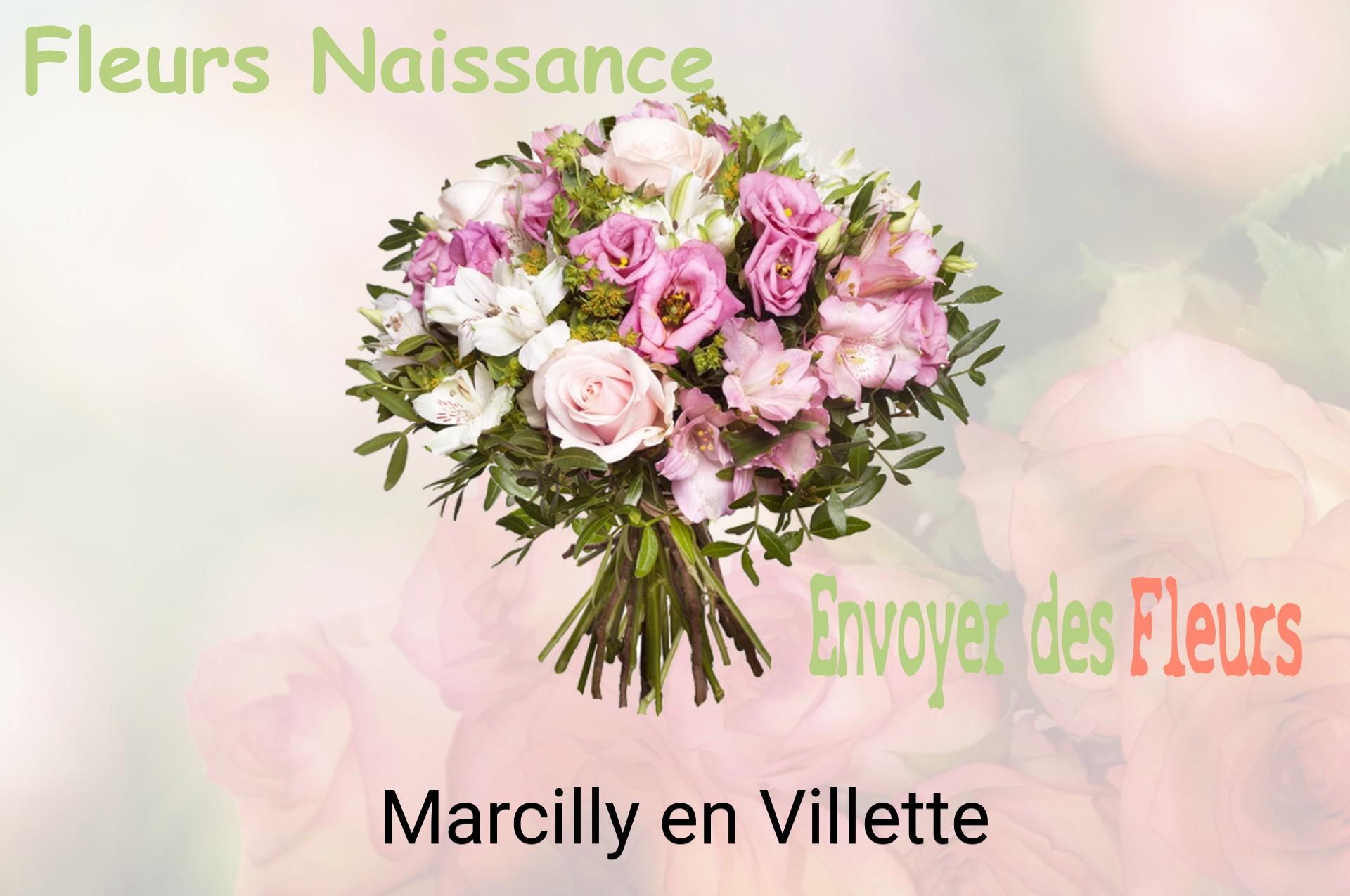 Bouquet de fleurs de naissance livré à Marcilly-en-Villette