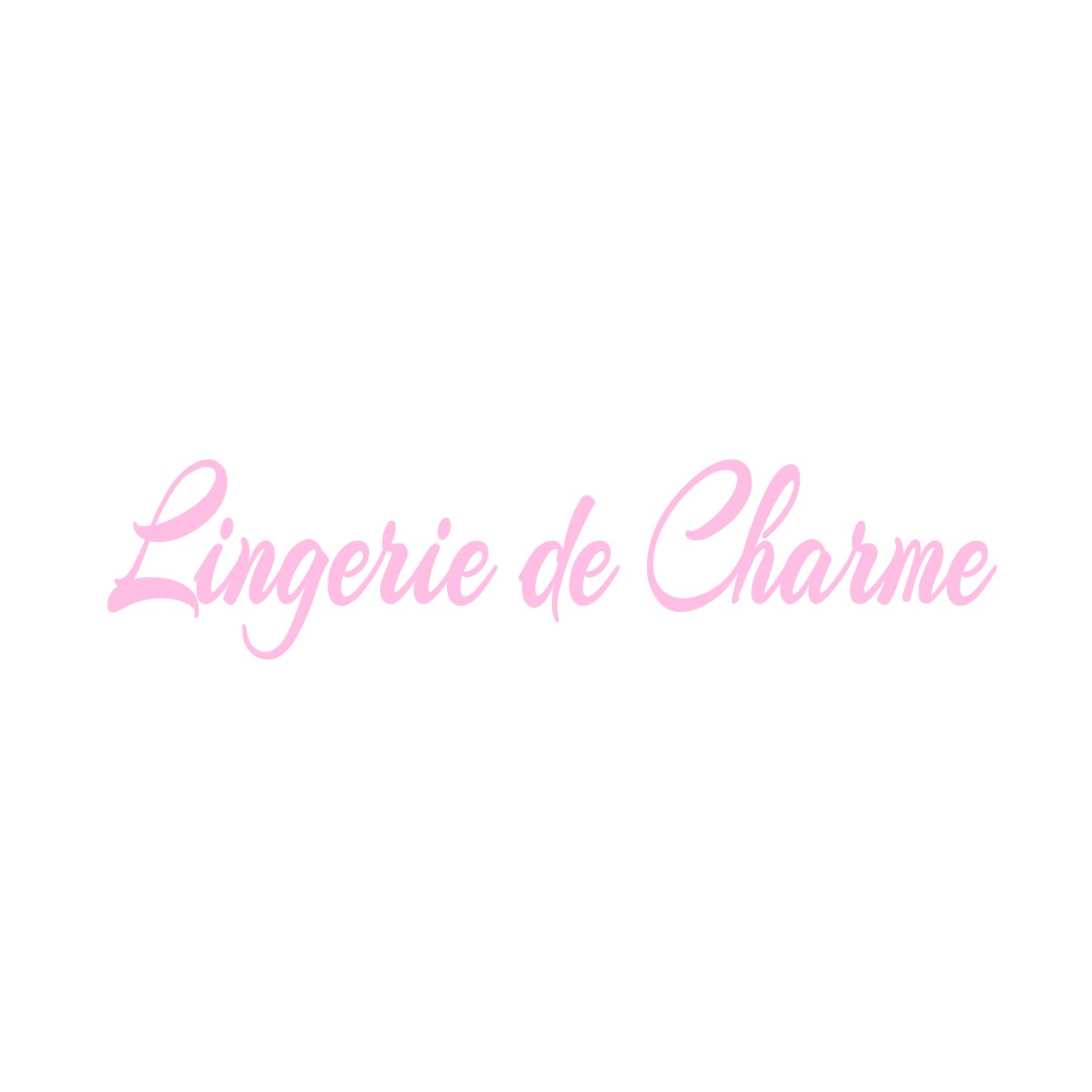 LINGERIE DE CHARME MARCILLY-EN-VILLETTE